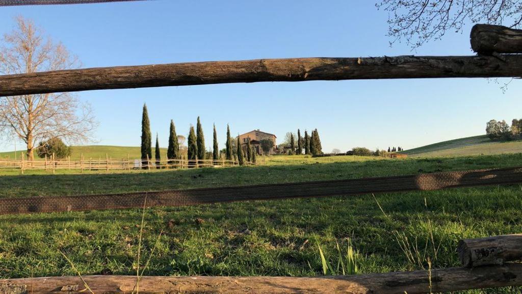 Bed&Breakfast Casale del Sole Castellina Marittima Exterior foto