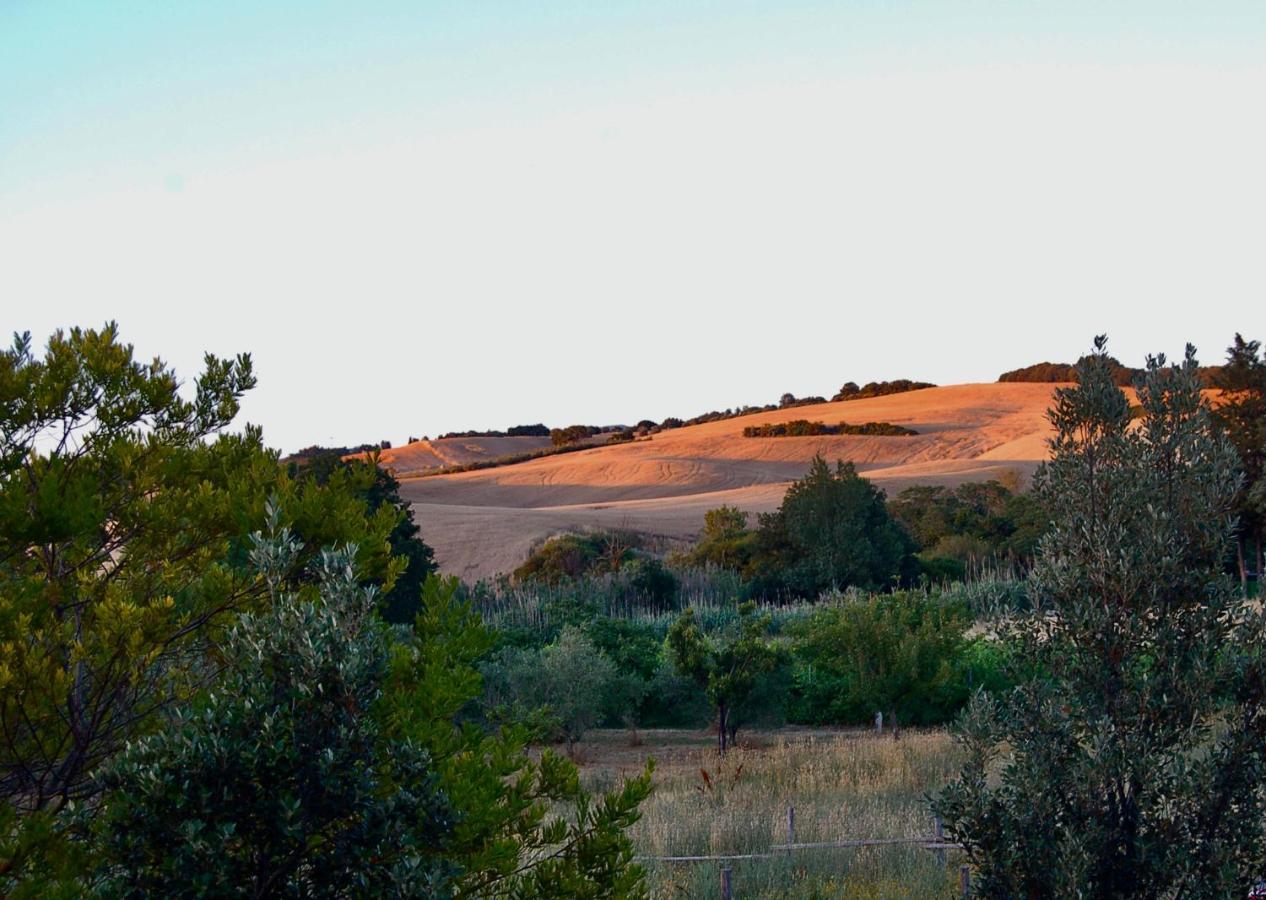Bed&Breakfast Casale del Sole Castellina Marittima Exterior foto