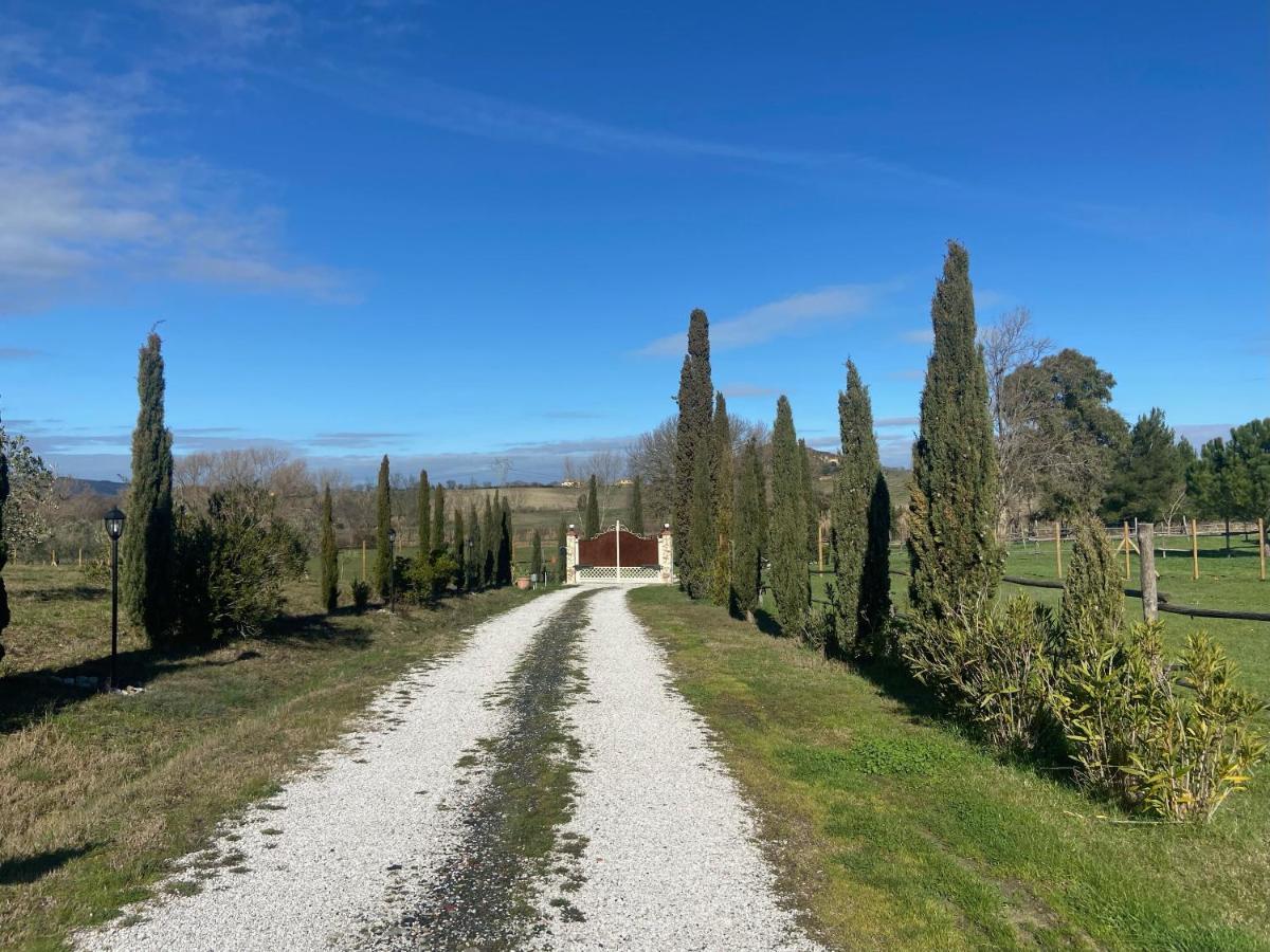 Bed&Breakfast Casale del Sole Castellina Marittima Exterior foto