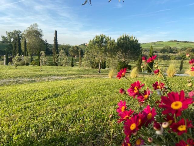 Bed&Breakfast Casale del Sole Castellina Marittima Exterior foto