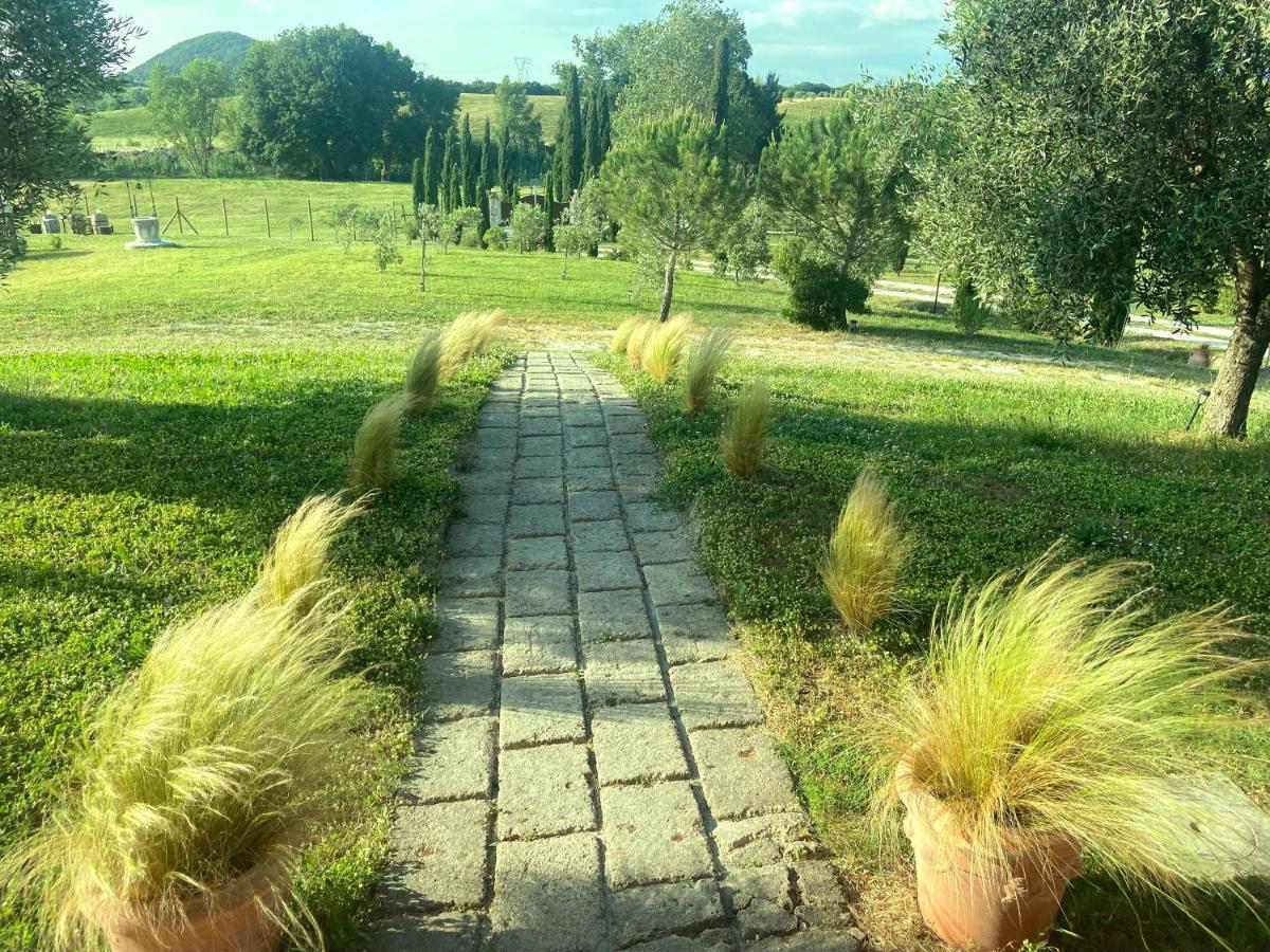 Bed&Breakfast Casale del Sole Castellina Marittima Exterior foto